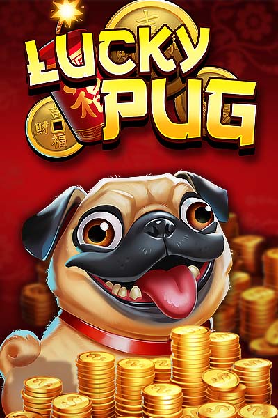 Lucky Pug