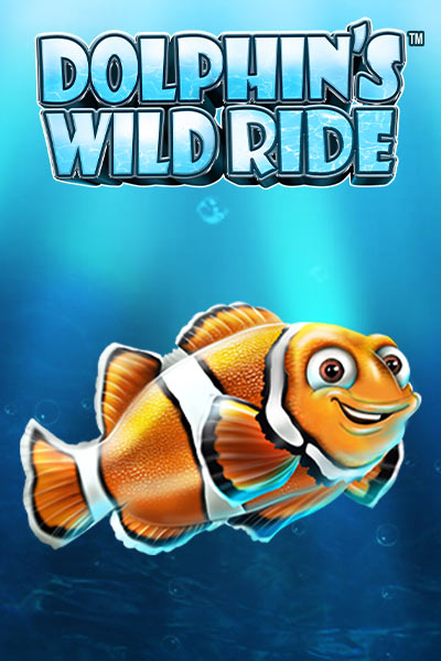 Dolphins Wild Ride