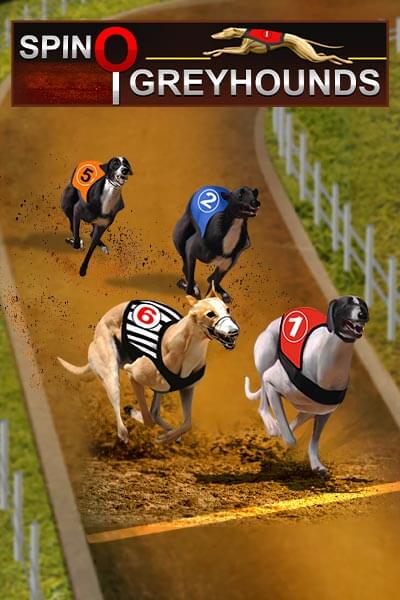 Spino Greyhounds
